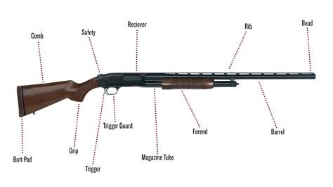 Types of Shotguns: A Complete Guide 